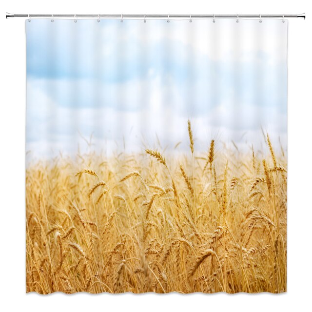 

Shower Curtain – Wheat Field-180*180cm, 501 Original