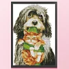 (Multi Style)Butterfly-Partial Embroidery 2 Strands 14CT Stamped Cross Stitch-45*35CM