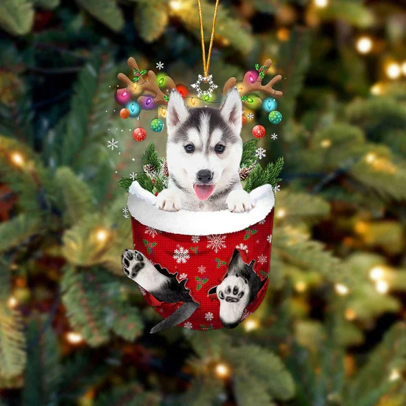 Husky 2 In Snow Pocket Christmas Ornament.