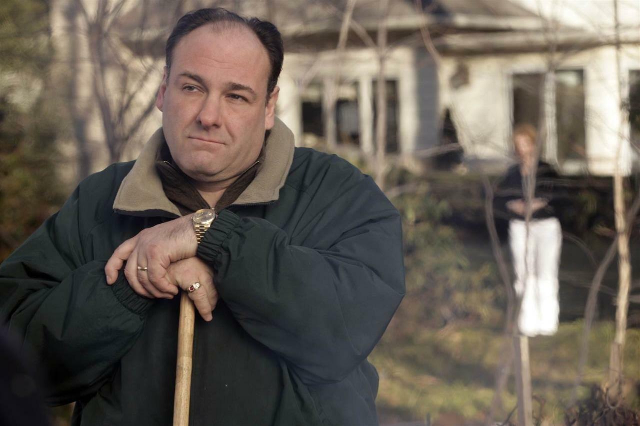 James Gandolfini 8x10 Picture Simply Stunning Photo Poster painting Gorgeous Celebrity #4