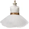 Kids Clothes Princess Girl Cute Lace Events Party Dress - honeylives