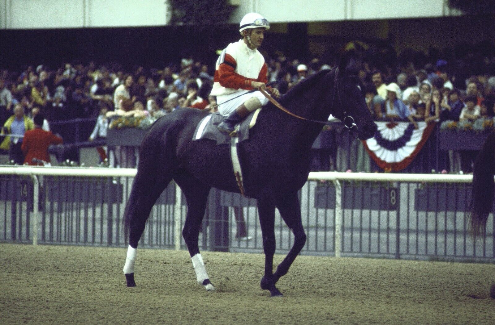 1975 Jacinto Vasquez RUFFIAN Belmont Park Great Match Horse Racing 8x10 Photo Poster painting