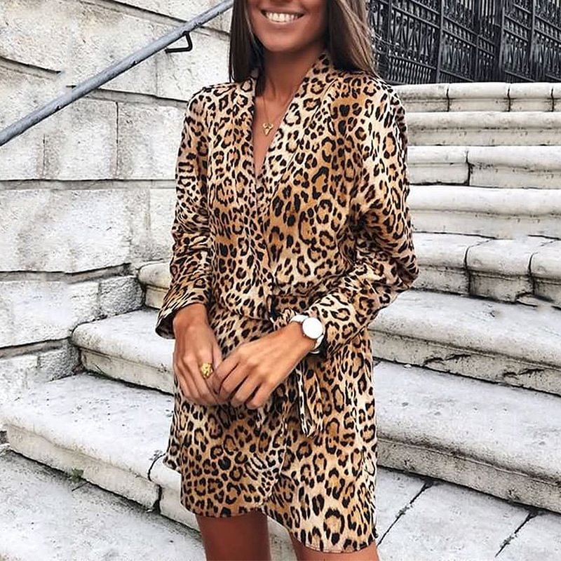 Leopard Print Long Sleeve V-Neck Irregular Dress Mini Dress For Women MusePointer