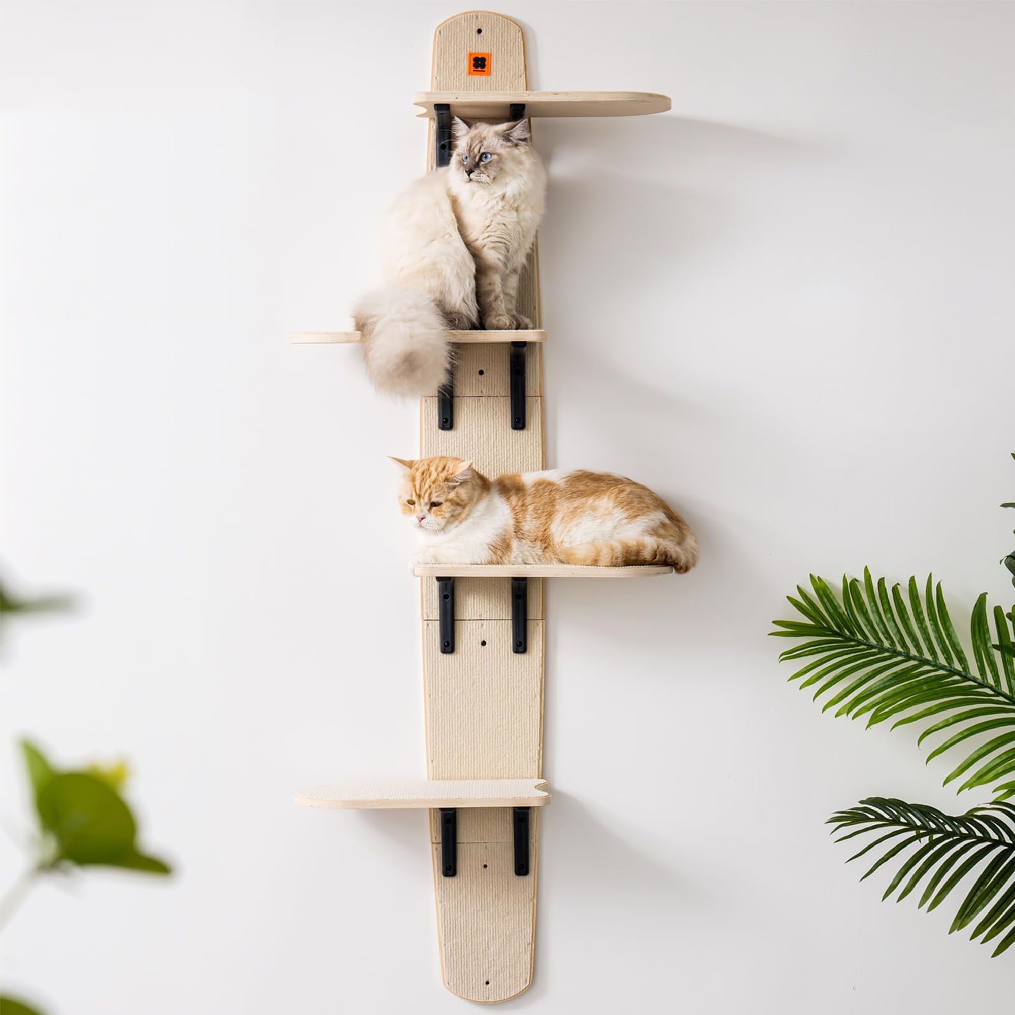 Door Hanging Cat Climber Shelves Mewoofun