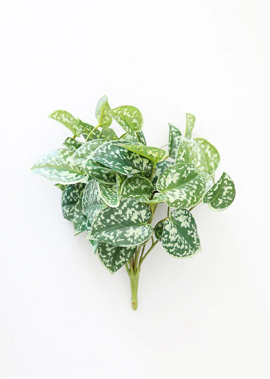 Artificial Satin Pothos House Plant - 9"