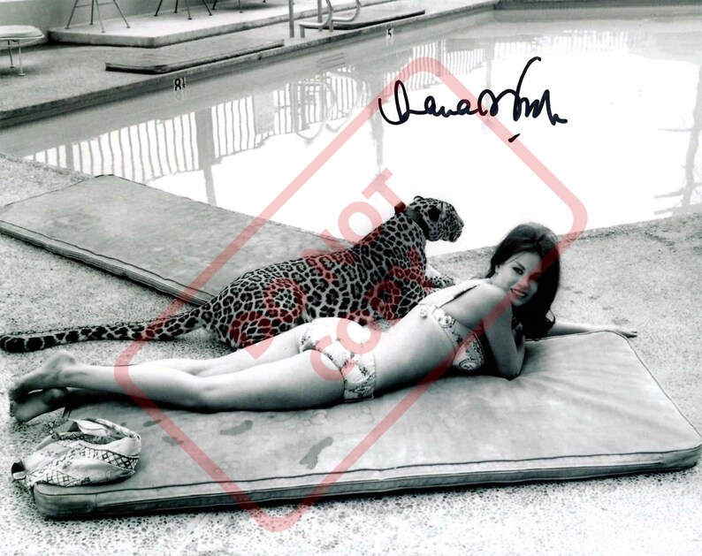 Lana Wood Vintage 8.5x11 Autographed Signed Reprint Photo Poster painting