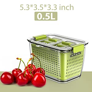 0.5L