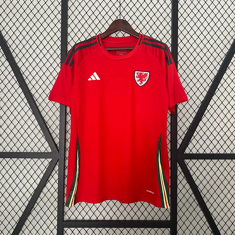 2024/25 Wales home fan version jersey 1:1 Thai quality
