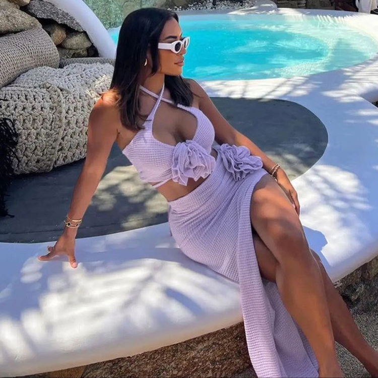 Halter Bikini Swimsuit and Skirt