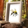 9pcs Mini Square Diamond Painting -Bee