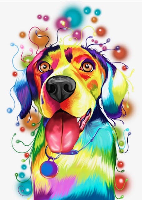 

Colorful Retriever Dog – Paint By Numbers - 40*50CM, 501 Original