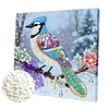 Bird DIY Pearl Art Diamond Painting Kit for Adults Home Decor 25x25cm With Frame