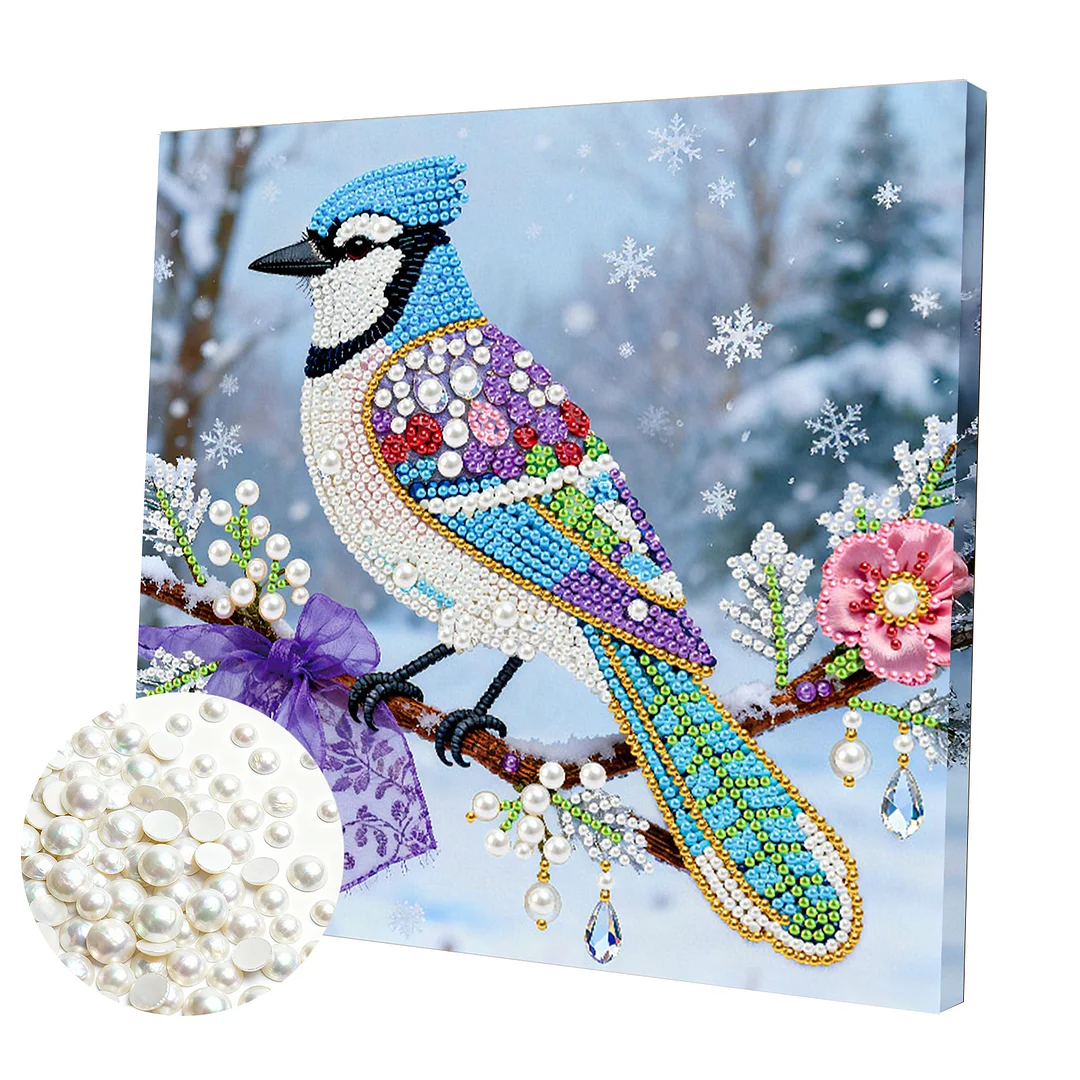 Bird DIY Pearl Art Diamond Painting Kit for Adults Home Decor 25x25cm With Frame