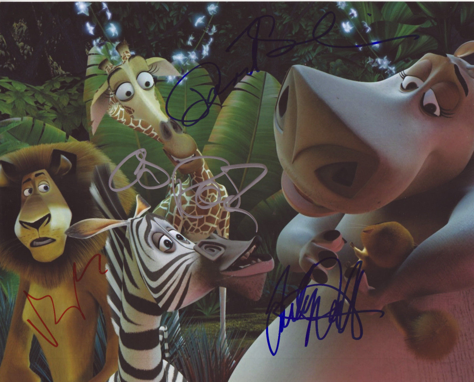 MADAGASCAR CAST AUTOGRAPH SIGNED PP Photo Poster painting POSTER