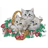Diamond Painting-DIY Crystal Rhinestone Flower Cat