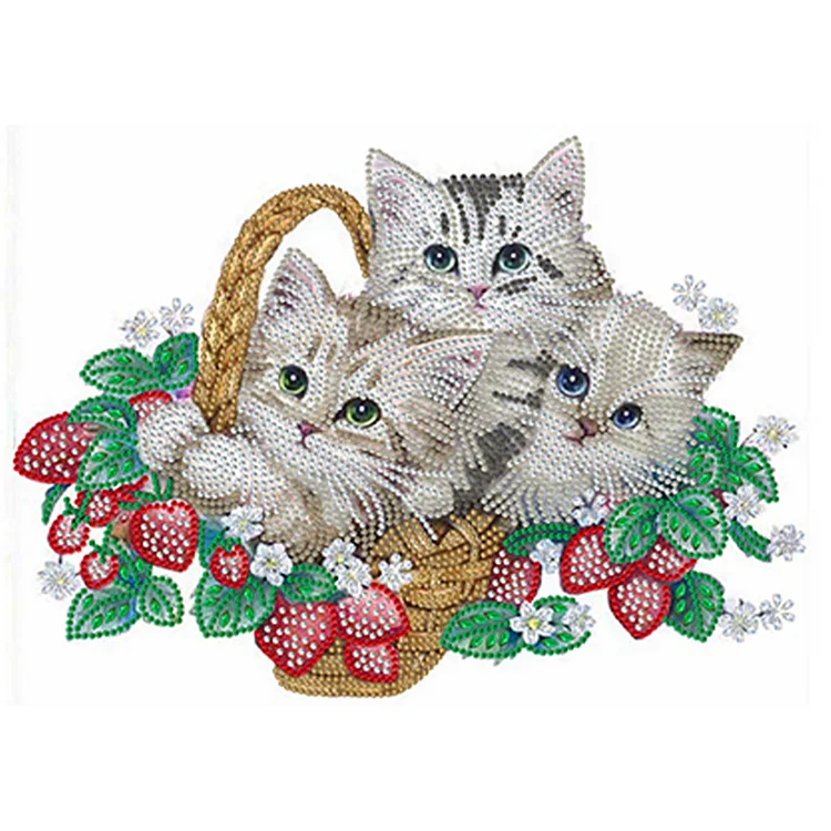 Partial Special-Shaped Diamond Painting - Flower Cat 40*30CM