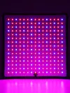 45W 225 LED Grow Lamp Red Blue LED Indoor Grow Lights Full Spectrum Plant Lamp