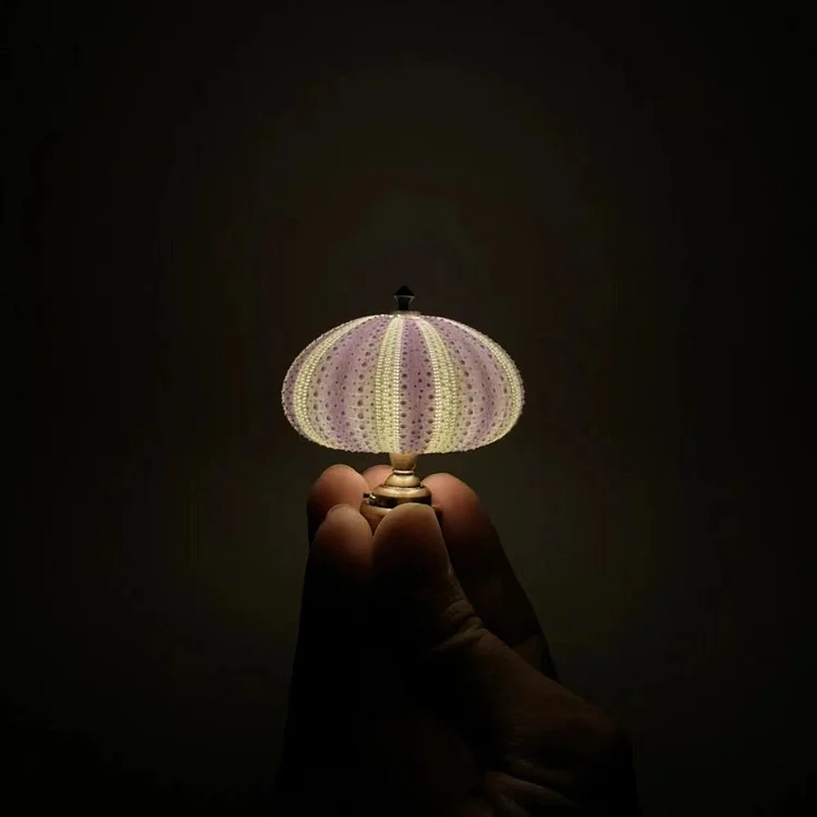 DIY Sea Urchin Night Light