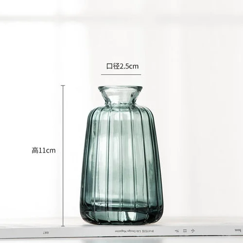 Mini Glass Vase For Decoration Small Living Room Decor Aesthetic Modern Transparent Hydroponic Flower Vase Home Decoration