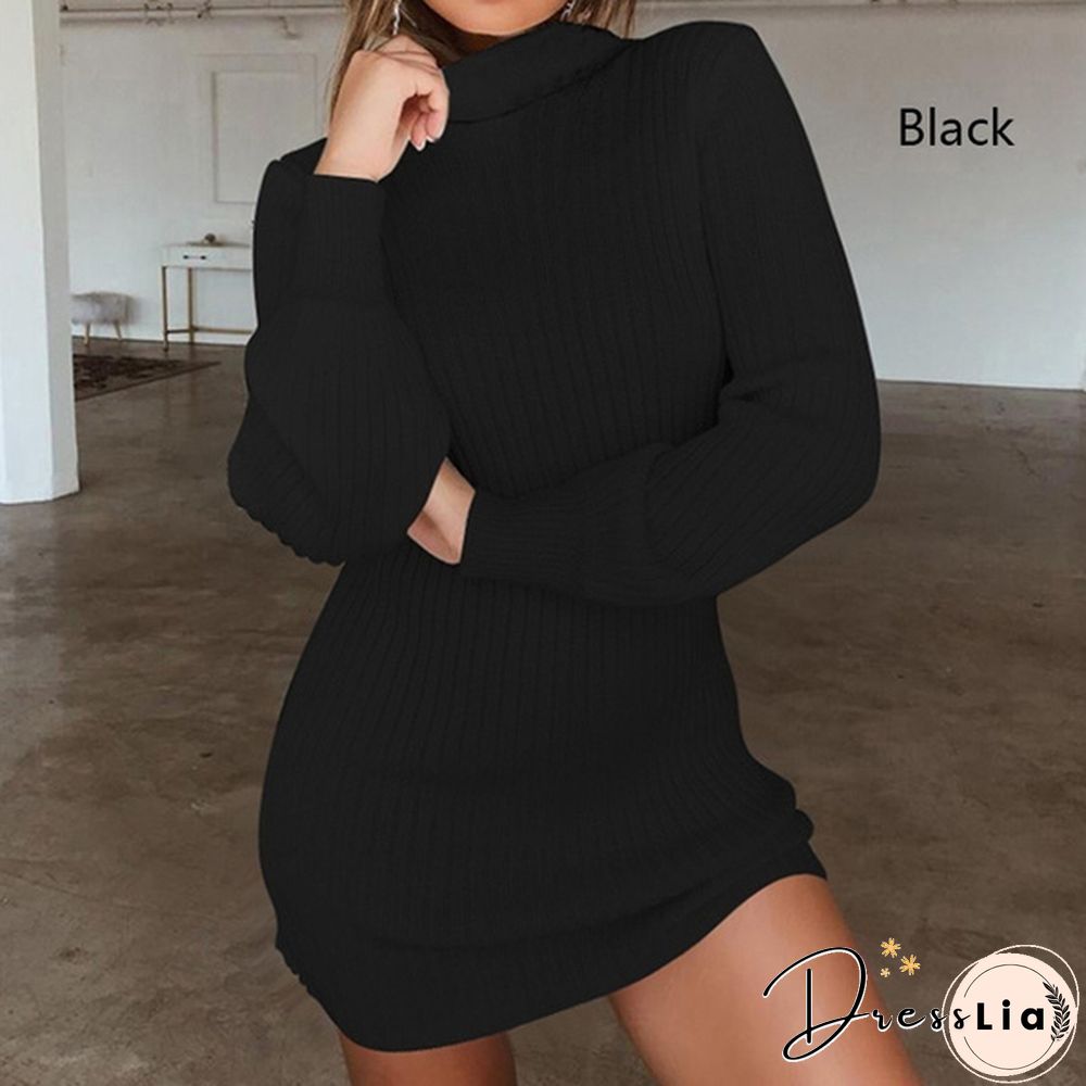 Women Autumn and Winter Long Sleeve Knitted Sweater Dress Ladies Fashion Keep Warm Knitting High Collar Slim Fit Bottoming Mini Knitting Dress