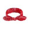 Cute Pattern Printed Bowknot Wired Hair Head Bands