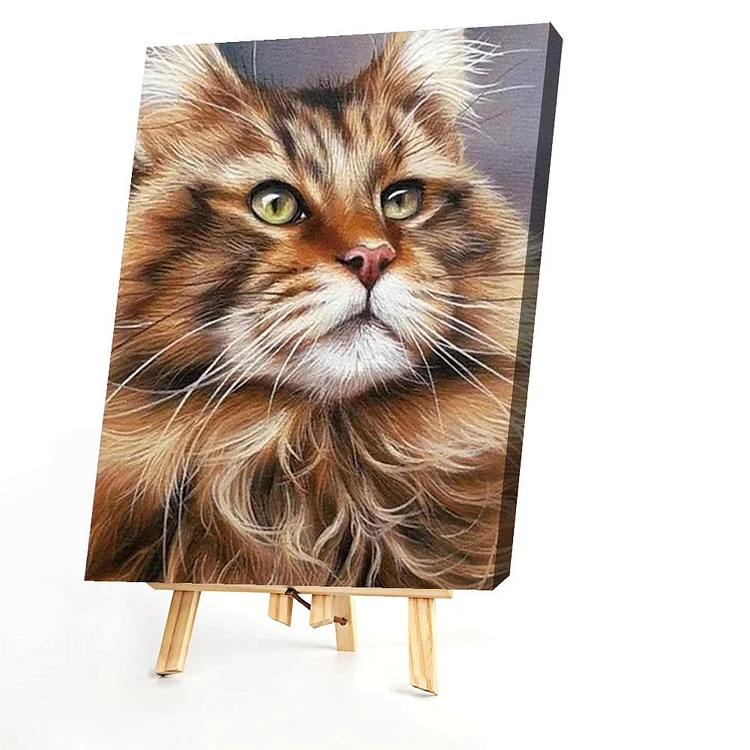 Cat  - Painting By Numbers - 40*50CM gbfke
