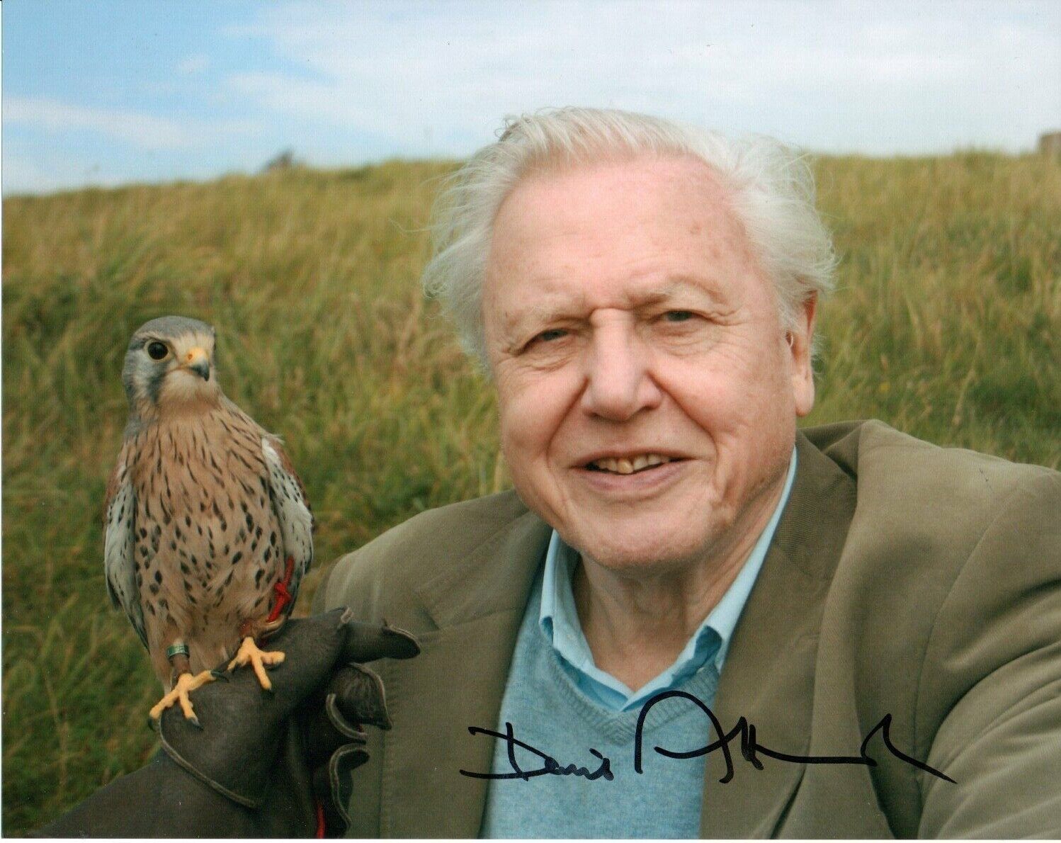 David Attenborough HAND Signed 10x8' Photo Poster paintinggraph Naturalist Broadcaster Autograph