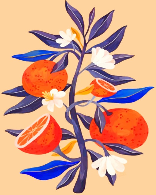 

Orange And Flowers – Illustration Paint By Numbers - 40*50CM, 501 Original