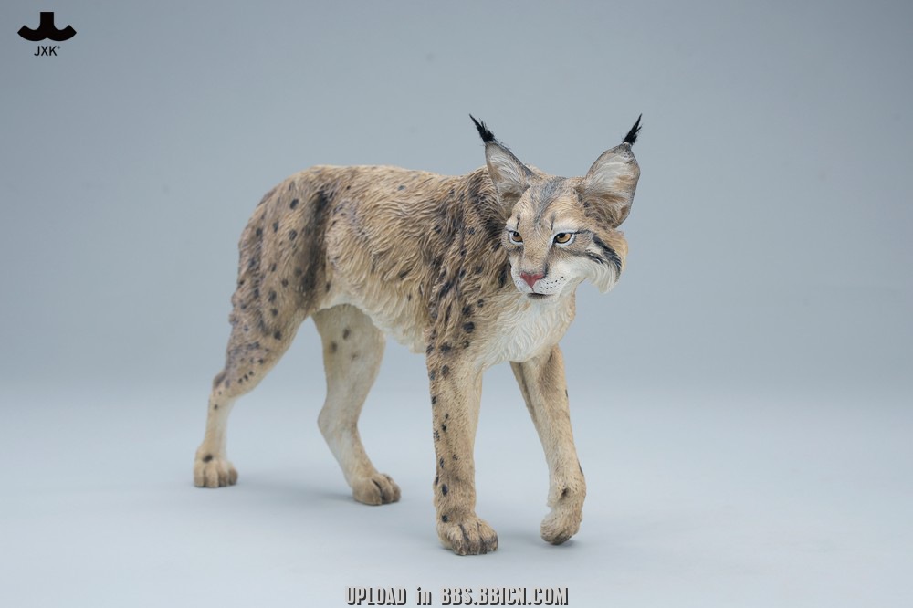 JXK - Lynx JXK361 (Licensed)-