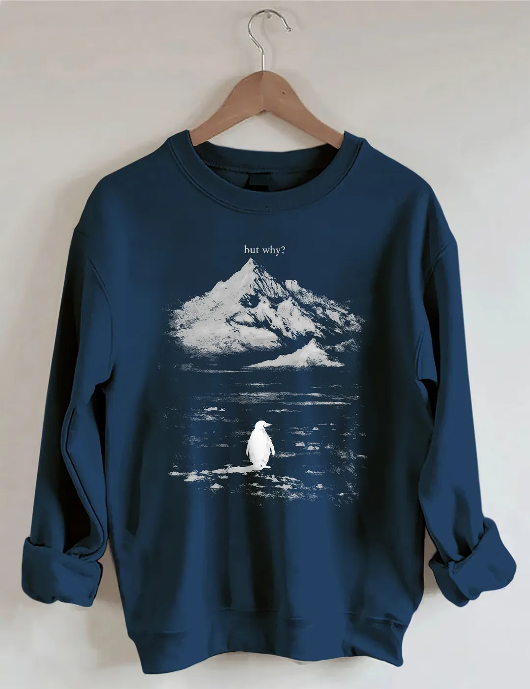 But Why Penguin Sweatshirt