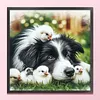 Border Collie And Chicks-11CT Stamped Cross Stitch 40*40cm/15.75*15.75in tapestrymarket