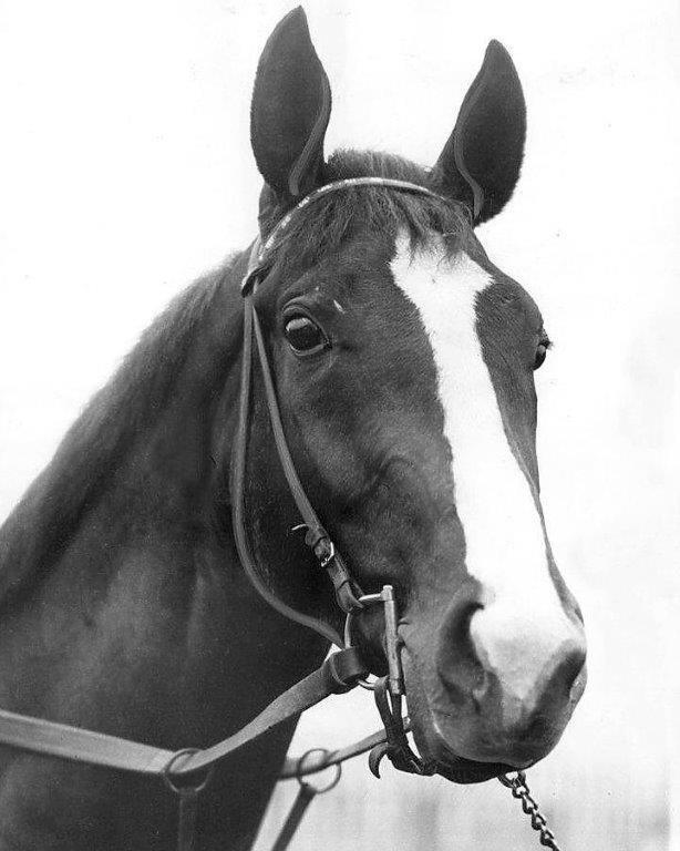 OMAHA 1935 Triple Crown Horse Racing 8 x 10 Photo Poster painting Race One of the Greatest