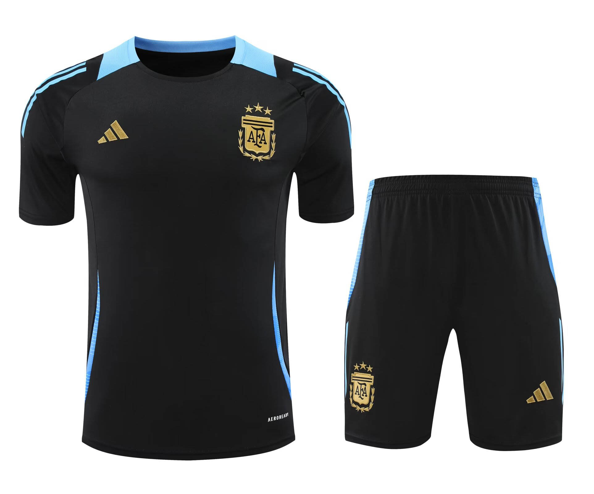 2024-2025 Argentina Training Suit Football Shirt 1:1 Thai Quality- Maxi Kit