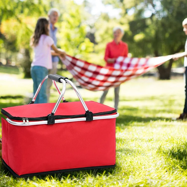 Foldable Picnic Insulation Bag