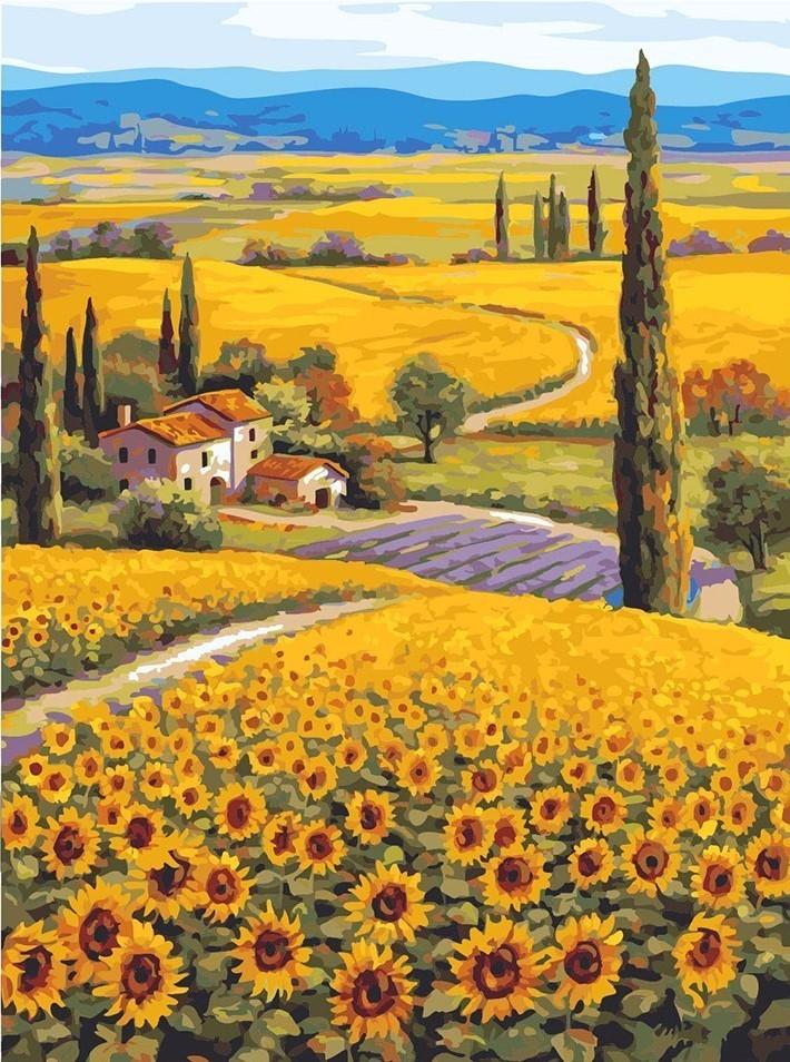

Sunflower Farm – Paint By Numbers - 40*50CM, 501 Original