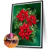 (5 Sizes)Christmas Poinsettia-Full Square Diamond Painting