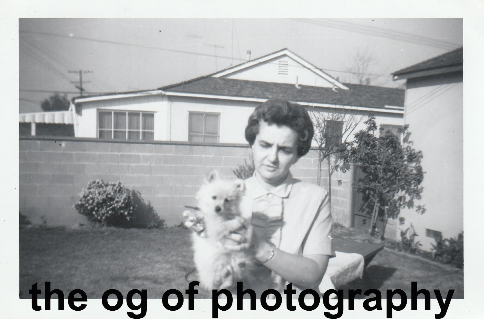 Dog Lady FOUND Photo Poster painting Original BLACK and WHITE Snapshot WOMAND 81