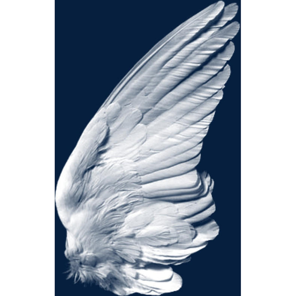 

Wing - Round Drill Diamond Painting - 30*40CM, 501 Original