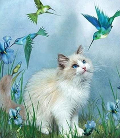 

Cat And Hummingbird – Paint By Numbers - 40*50CM, 501 Original