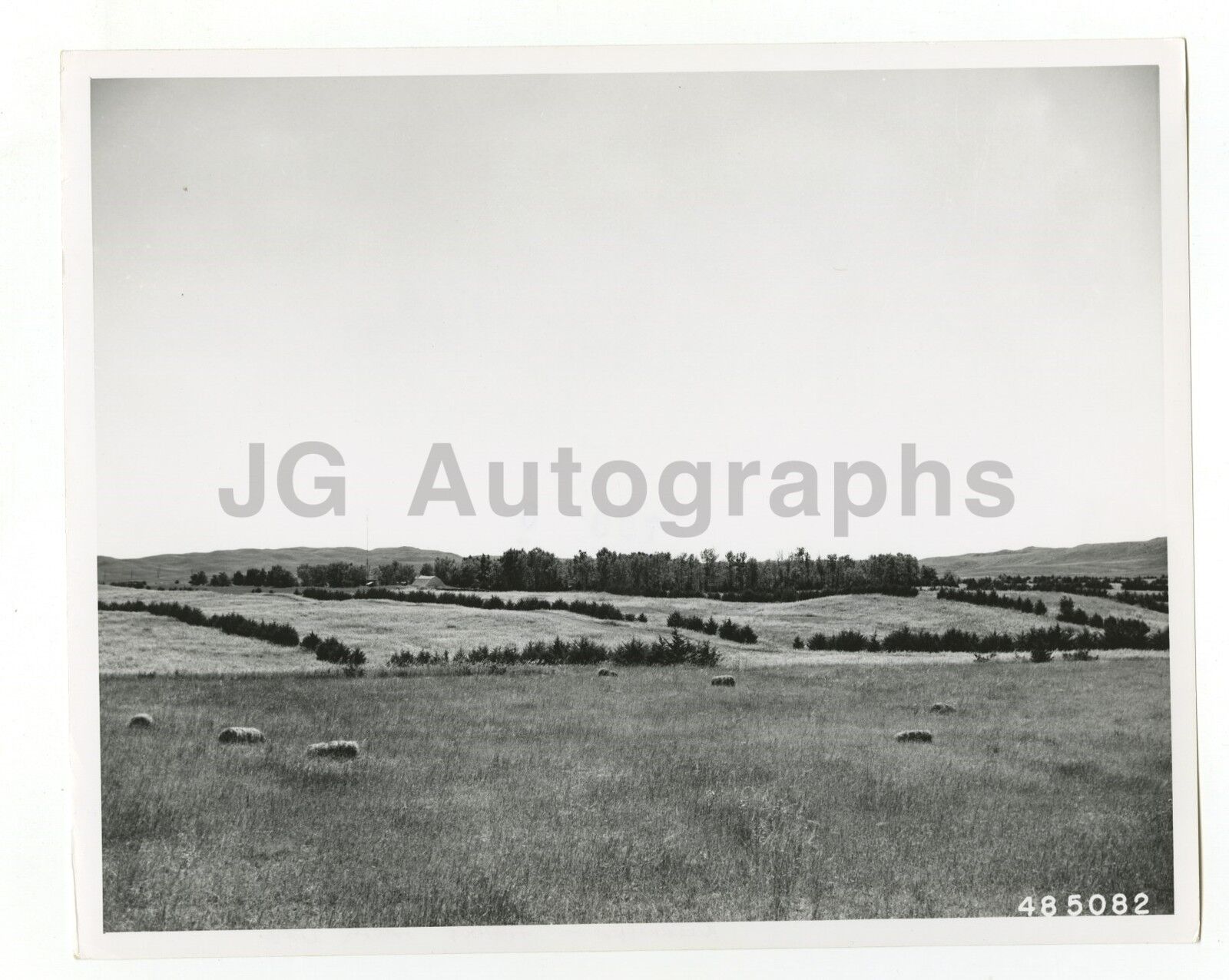 Nebraska History - Vintage 8x10 Photo Poster painting by Bluford W. Muir - Halsey, 1957