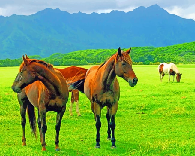 

Wild Horses – Paint By Numbers - 40*50CM, 501 Original