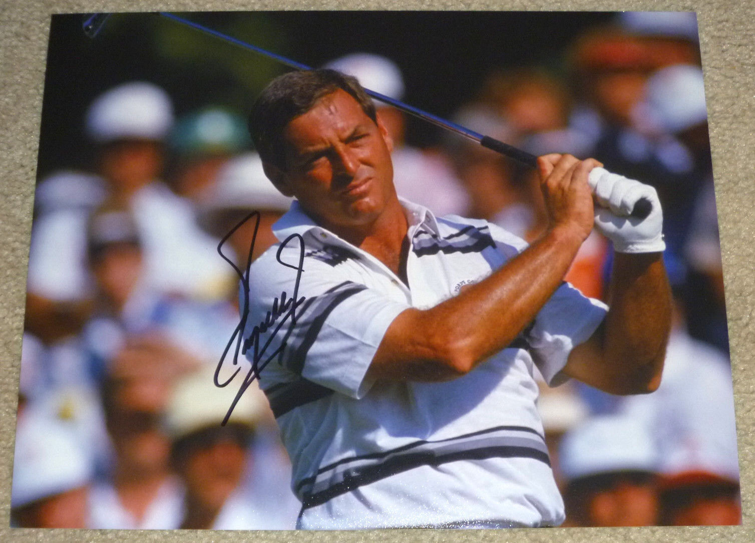 Fuzzy Zoeller Authentic Signed 8x10 PGA Golf Photo Poster painting Autographed, Masters Winner