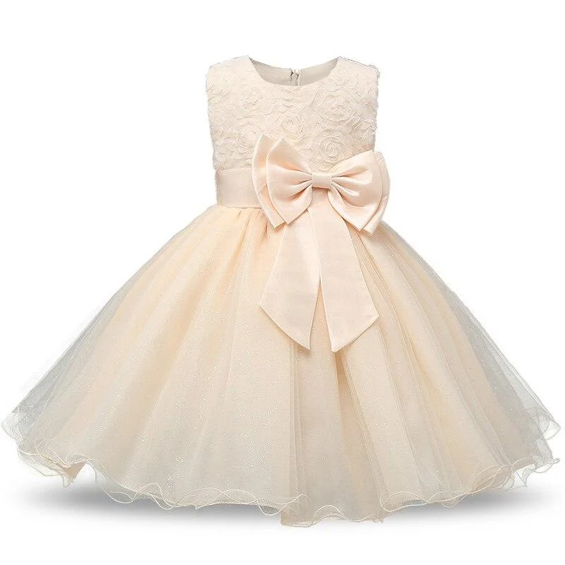 Baby Girls Dress for Birthday Party and Wedding Christmas Dresses Princess Flower Tutu Dress Little Girls 2pcs Prom Ball Gown