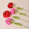 (Finished Product)Crochet Carnation Artificial Carnation Exquisite Aesthetic for Gift Home Office Decor