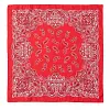 Polka Dots Floral Painting Shawl Scarf