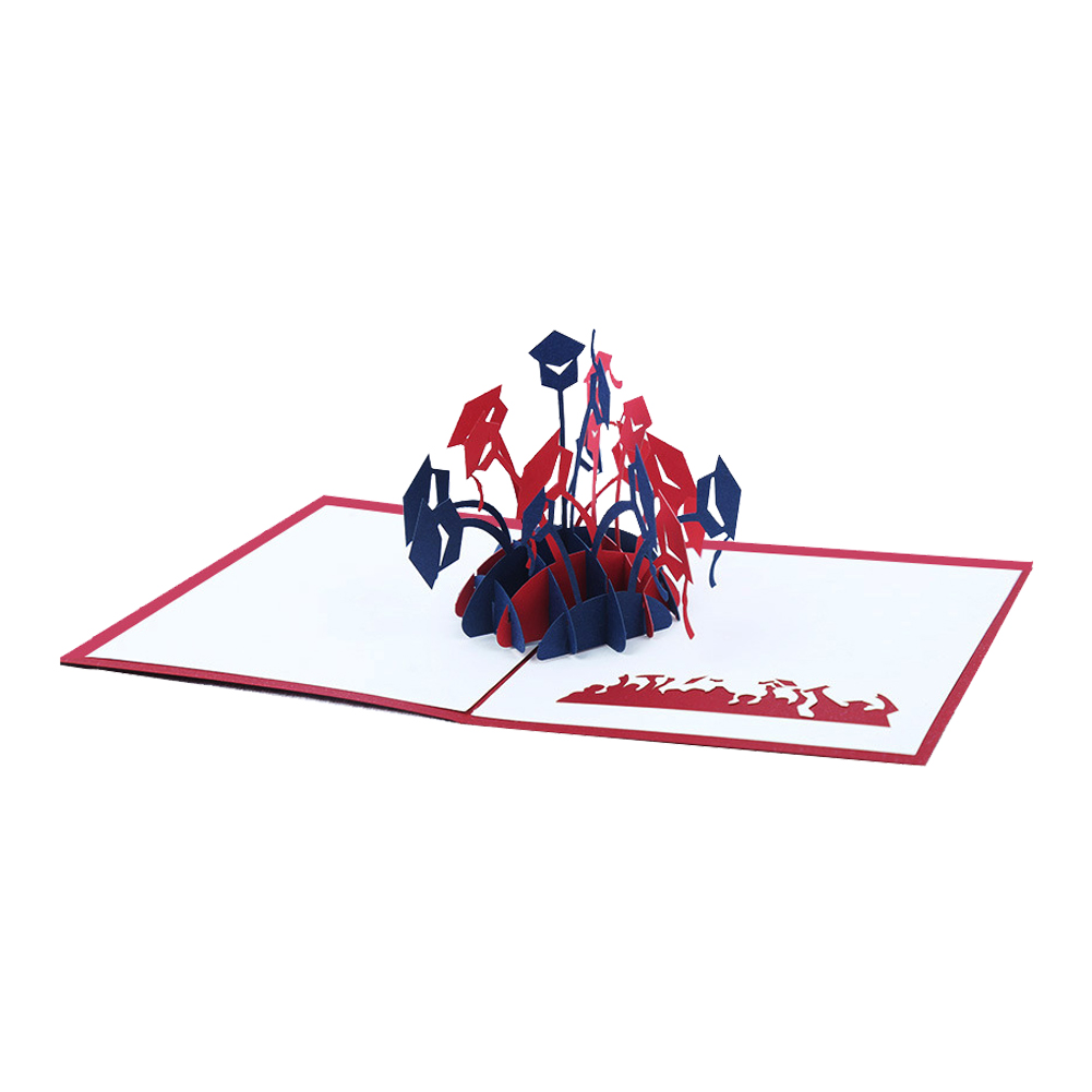 3D Pop Up Card - Graduation Jump Out Card Creative 3D Greeting