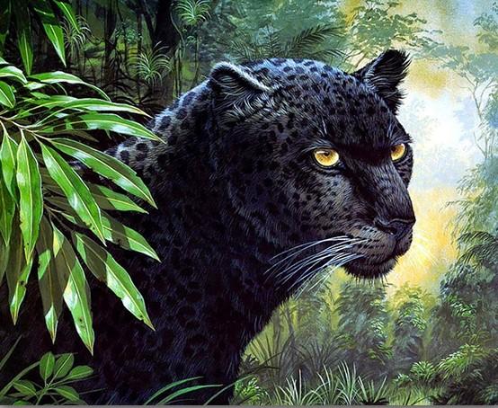 

Black Leopard – Paint By Numbers - 40*50CM, 501 Original