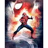 Spiderman-11CT Stamped 3 Strands Cross Stitch 40*50cm/15.75*19.69in