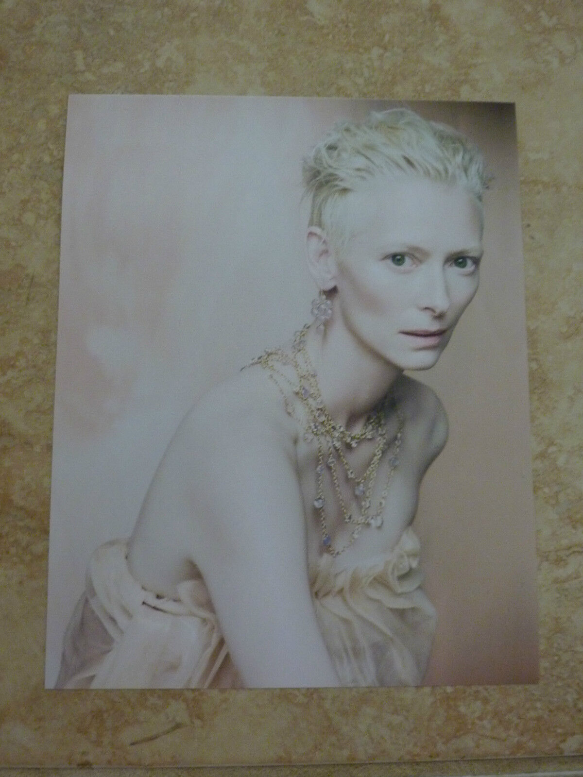 Tilda Swinton Color 8x10 Picture Photo Poster painting Hollywood Actress Australian #2