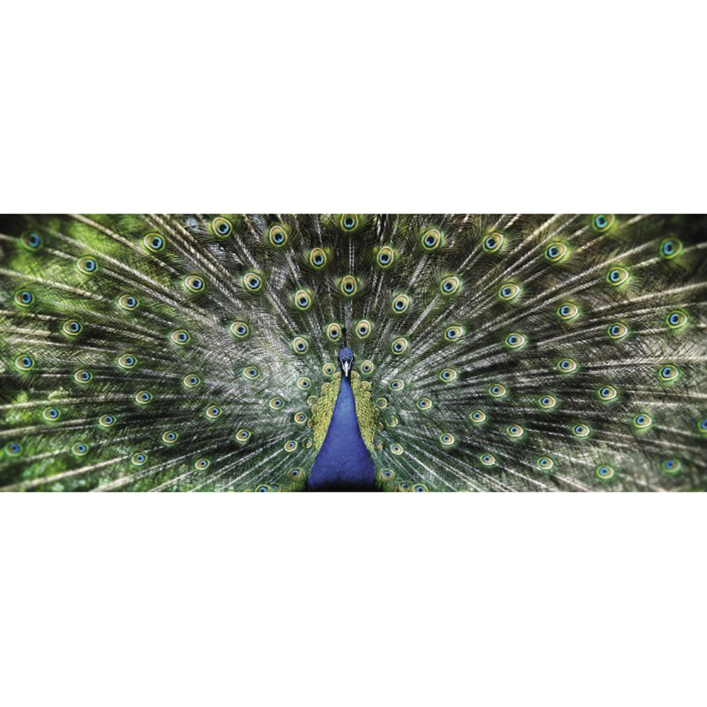 

100*50CM - Round Drill Diamond Painting - Peacock Spread Wings, 501 Original